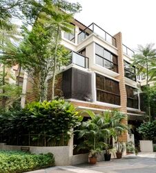 Holland Link (D10), Terrace #503549031